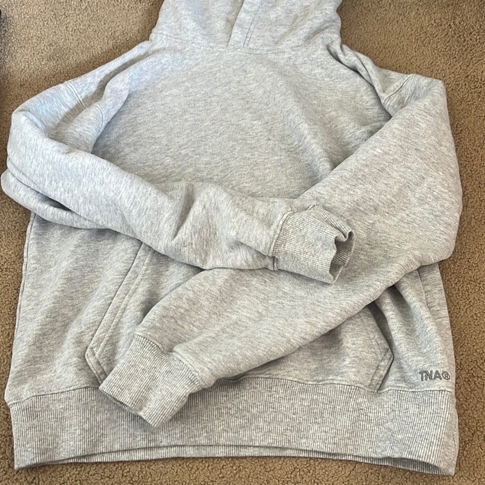 Aritzia sweatshirt